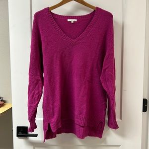 Z Supply Autumn V-Neck Sweater
